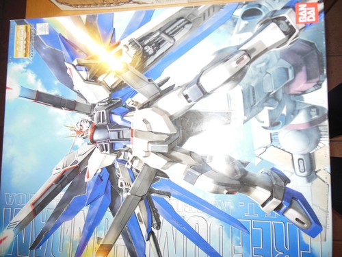 Bandai master grade - bandai, extreme