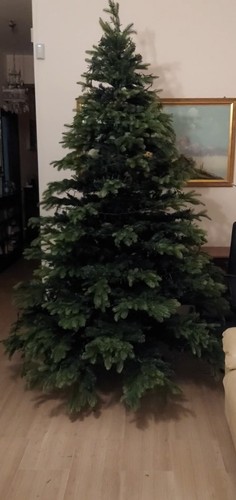 Albero natale artificiali - ,