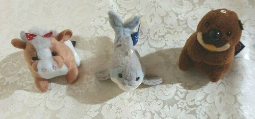 Peluche - 3,