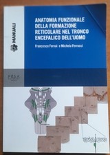 Anatomia funzionale della