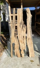 3 Tavole in legno di ulivo