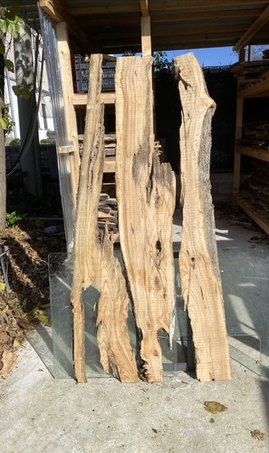 Tavole legno di ulivo - 3,