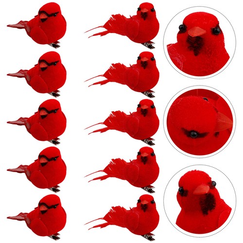 Pcs uccelli cardinali - ,