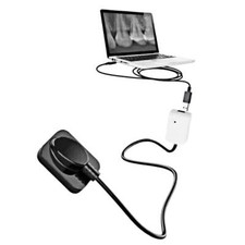 Woodpecker i Sensore Stile