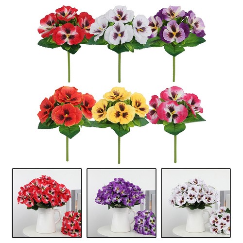 4pz charming pansy fiori - 4pz,