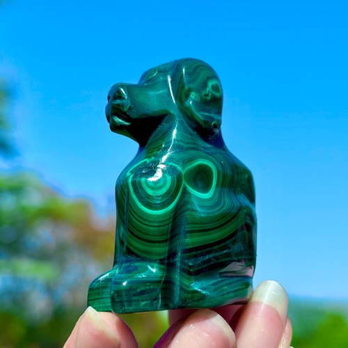 Chakra minerale cane