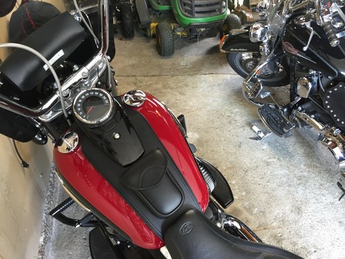 Harley davidson softail - davidson,