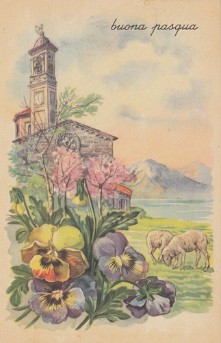 Cartolina augurali buona - cartolina,