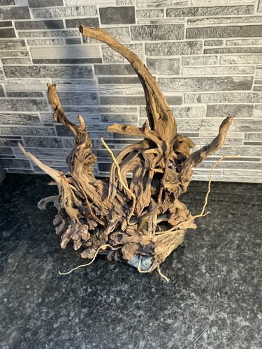Acquario driftwood artigianale - acquario,