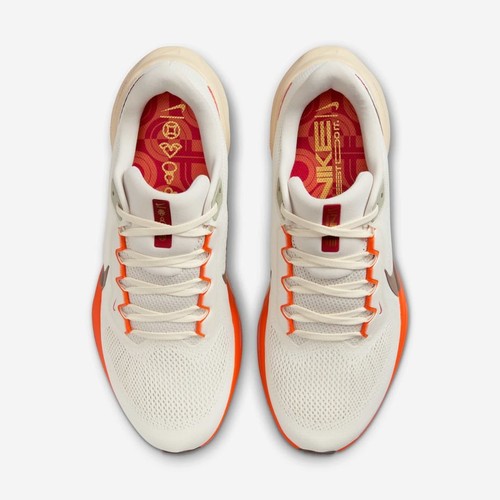 Air zoom pegasus - zoom, 41