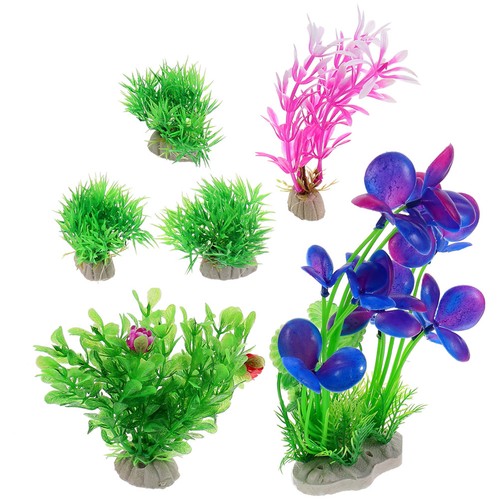 Pcs piante acquario - 6,