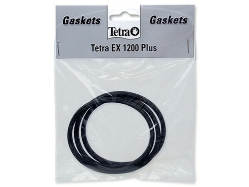 Tetra giunto torico per pompa - giunto,