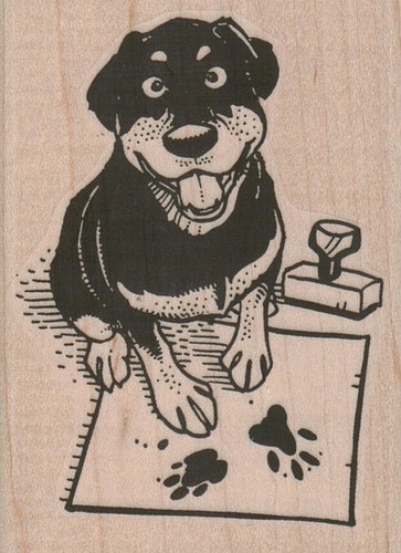 Timbro per cani x - cani, 1/4