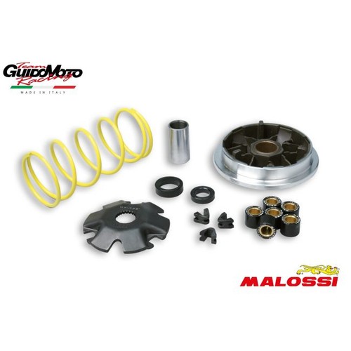 Variatore malossi aprilia - variatore,