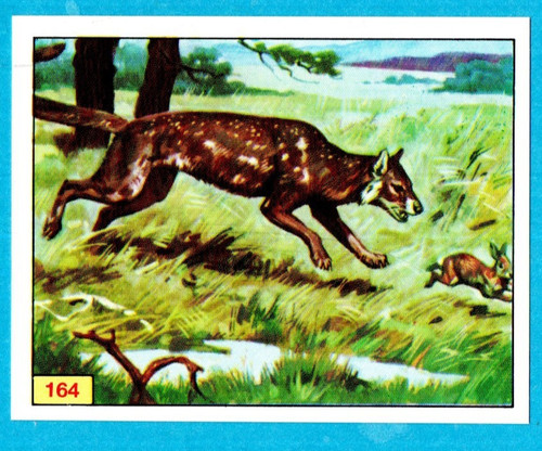 DINOSAURS/ANIMALI