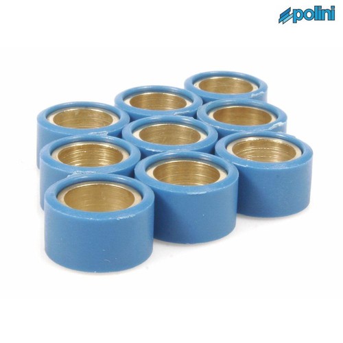 Polini p242252 rulli variatore - p242252,