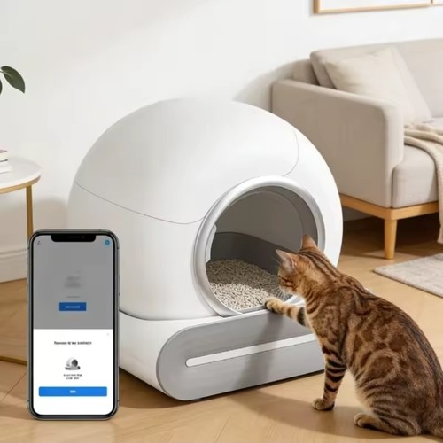 Lettiera per gatti - lettiera,
