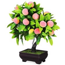  Bonsai finti: Bonsai di pesco