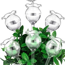 6 Pezzi Globi per Piante