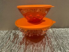 Nuovo set 2 bellissime ciotole