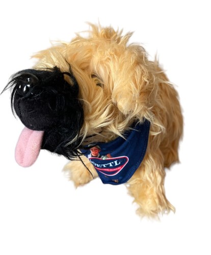 Sadie goettl mascotte - sadie,