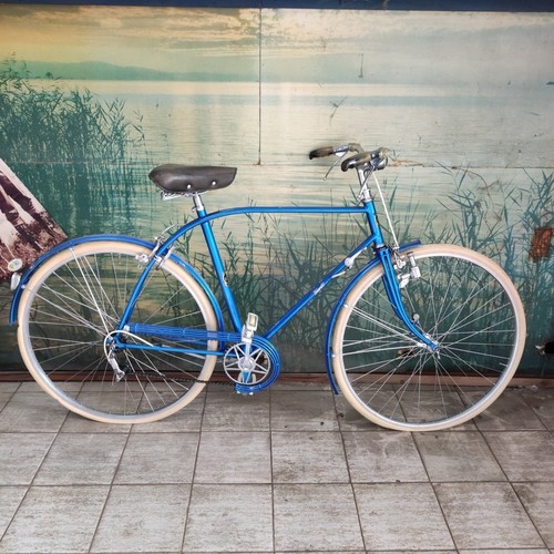 Bicicletta artigianale blu