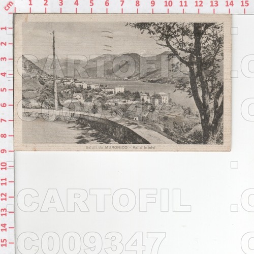 C9347 como dizzasco muronico - como,