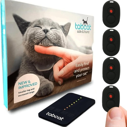 Tabcat cat kitten - tabcat, v2