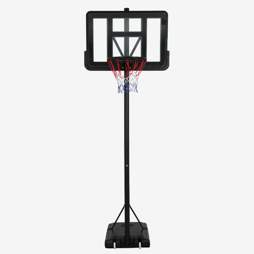 Canestro basket professionale