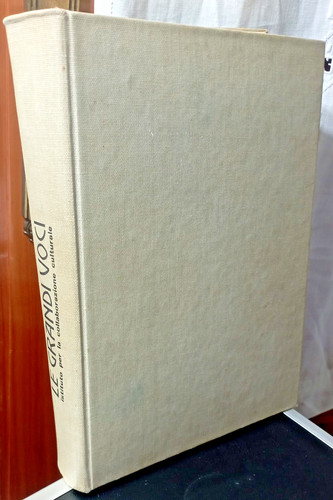 Grandi voci dizionario - le,