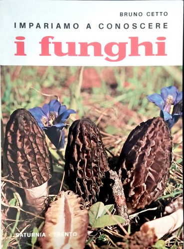 Funghi impariamo a - impariamo,