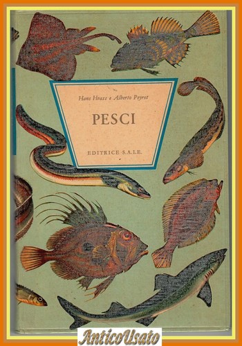 Pesci hans hvass alberto - pesci, di