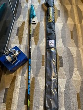 canna da pesca surfcasting