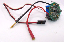 Foca n. 8357 RSC 210 BEC