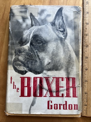 The boxer daniel gordon - ,