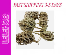 ⭐SPEDIZIONE VELOCE⭐ 400