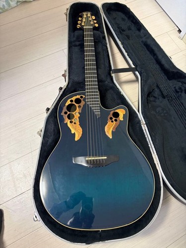 Chitarra elettrica acustica