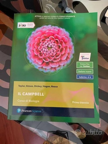 Campbell corso di - il,