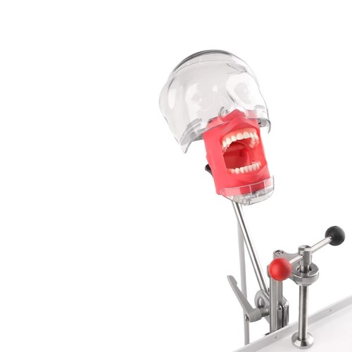 Simulatore dentale nissin - simulatore,