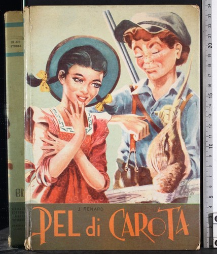 Pel carota renard boschi - carota., renard.