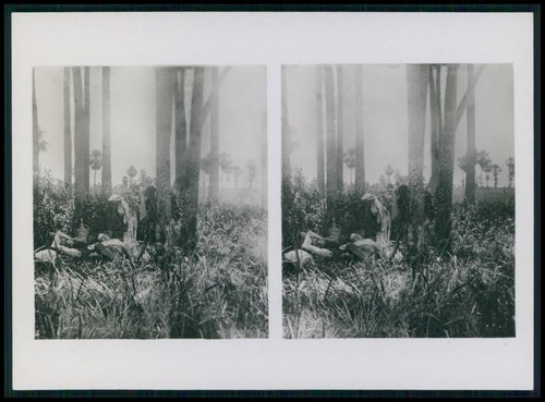 Sud america indian - yy,