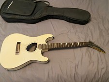 Chitarra elettrica acustica