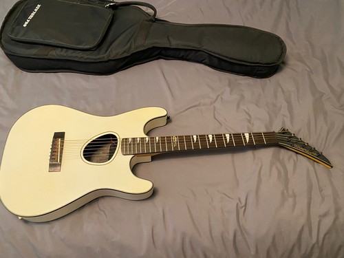 Chitarra elettrica acustica
