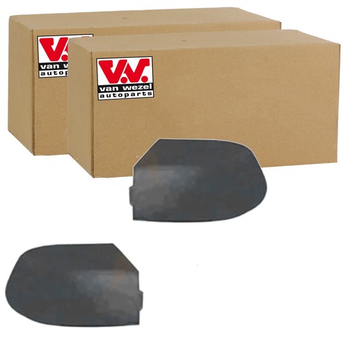 Van wezel calotte specchio - van,
