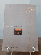 FULVIO FERRARI - MOLLINO POLAROID [ UMBERTO ALLEMANDI E C. 1999 ]
