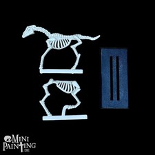 Skeleton Horse Warhammer