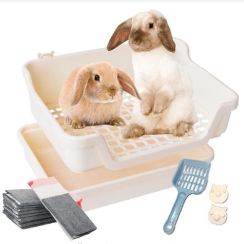 Hoppscotch bumbox grande - hoppscotch,