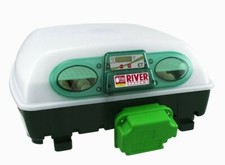 INCUBATRICE AUTOMATICA