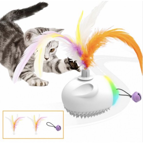 Gioco interattivo per gatti - interattivo,
