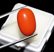 Anello 8 Ct Corallo Naturale